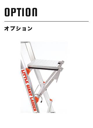 LGオプション
