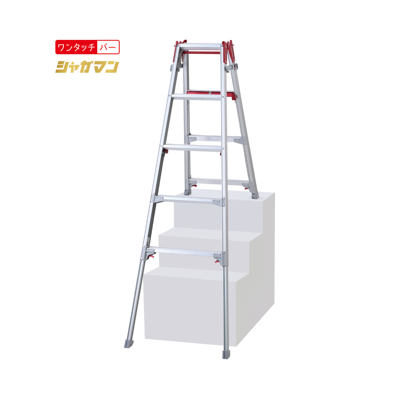 RYRE シャガマン