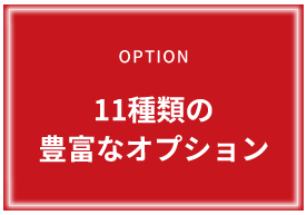 11種類の抱負なオプション