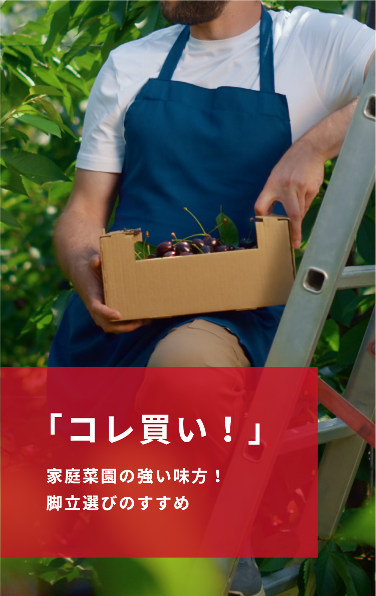 「コレ買い！」家庭菜園の強い味方！脚立選びのすすめ